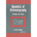 Dynamics of Chromatography: Principles and Theory