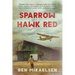 Sparrow Hawk Red