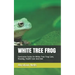 White Tree Frog: Conclusive Guide On White Tree Frog Care, Housing, Health Care And Diet