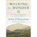 Walking in Wonder: Eternal Wisdom for a Modern World