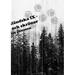 Di ångermanländska IX - berättelser och skrönor