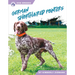 German Shorthaired Pointers