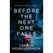Before the Next One Falls