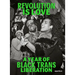 Revolution Is Love: A Year of Black Trans Liberation