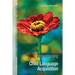 Understanding Child Language Acquisition