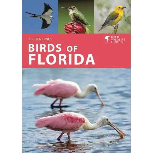 Birds of Florida