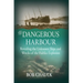 The Dangerous Harbour: Revealing the Unknown Ships and Wrecks of the Halifax Explosion