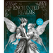Enchanted Realms: A Romantasy Coloring Book