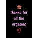 thanks for all the orgasms: Funny Valentine's Day Gifts for Him - Husband - Boyfriend - Joke Valentines Day Card Alternative