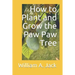 How to Plant and Grow the Paw Paw Tree