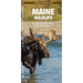 Maine Wildlife: A Folding Pocket Guide to Familiar Animals