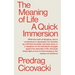 The Meaning of Life: A Quick Immersion