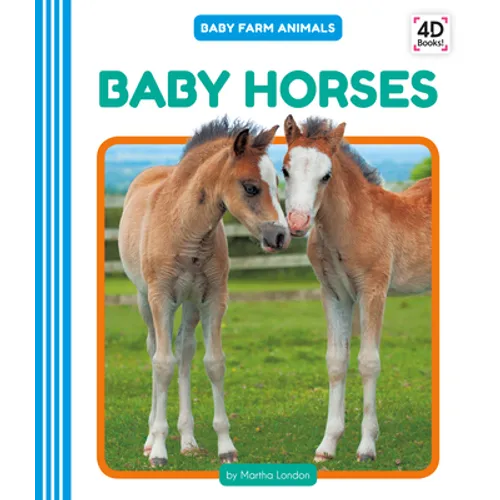 Baby Horses