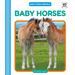 Baby Horses
