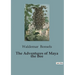 The Adventures of Maya the Bee