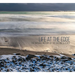 Life at the Edge