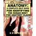 Anatomy: A Complete Help Guide For Identifying The Human Body For Anatomy Class