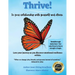 Thrive! In your relationship with yourself and others: Love your journey as you discover emotional resilience within