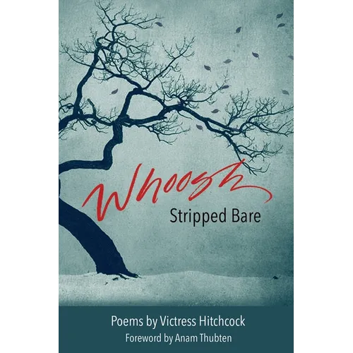 Whoosh Stripped Bare