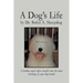 A Dog's Life: A leading expert offers insights into the inner workings of your dog's mind.