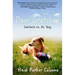 Dear Gretchen: Letters to My Dog