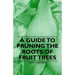 A Guide to Pruning the Roots of Fruit Trees