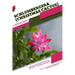 Schlumbergera (Christmas Cactus): Open terrarium, Beginner's Guide
