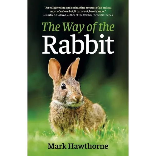 The Way of the Rabbit