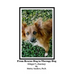 From Rescue Dog To Therapy Dog