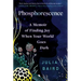 Phosphorescence: A Memoir of Finding Joy When Your World Goes Dark
