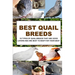 Best Quail Breeds: 10 Types Of Quail Breeds That Are Good Layers And Are Best To Keep For Their Meat