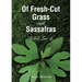 Of Fresh-Cut Grass and Sassafras: What Love Is
