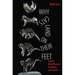 Why Cats Land on Their Feet: And 76 Other Physical Paradoxes and Puzzles