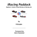 iRacing Paddock: Beginner's Guide to Road Simracing on iRacing.com