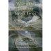 Where the Lightning Struck Twice: A Collection about Surviving Narcissistic Abuse