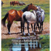 Visions of a Nebraska Artist, The Journey Continues: Paintings and drawing of David Dorsey