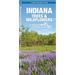 Indiana Trees & Wildflowers: A Folding Pocket Guide to Familiar Plants