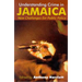 Understanding Crime in Jamaica