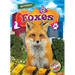 Foxes