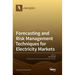 Forecasting and Risk Management Techniques for Electricity Markets