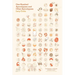 One Hundred Apocalypses and Other Apocalypses