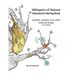 Whispers of Nature Advanced Coloring Book: masked nymphs and other ethereal beings (for adults)