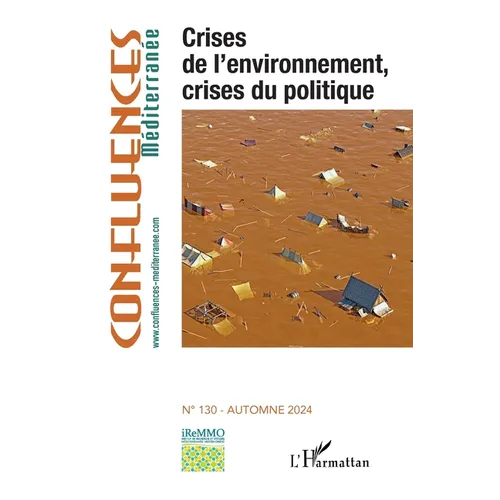 Crises de l'environnement, crises du politique