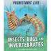 Insects, Bugs, and Invertebrates
