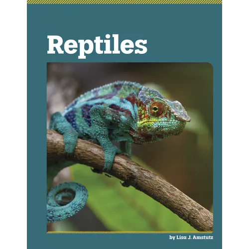 Reptiles