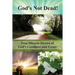 God's Not Dead!: True Miracle Stories of God's Goodness and Grace