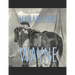 Mad Anthony Wayne: The Life and Legacy of the Famous Revolutionary War General