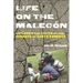 Life on the Malecón: Children and Youth on the Streets of Santo Domingo