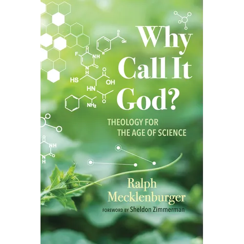 Why Call It God?: Theology for the Age of Science