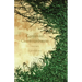 Convivial Communiverse: Poems